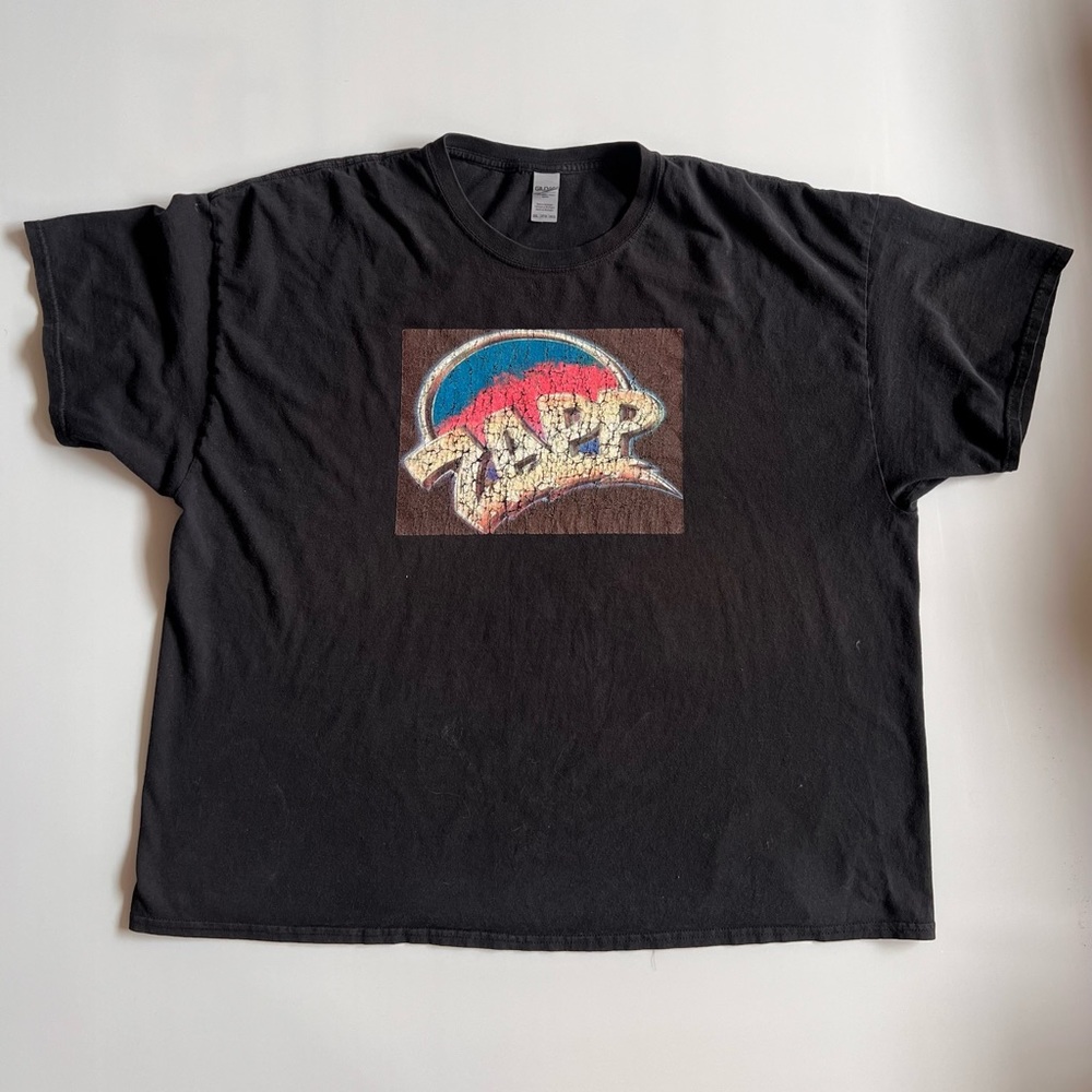 Y2K ZAPP tee shirt